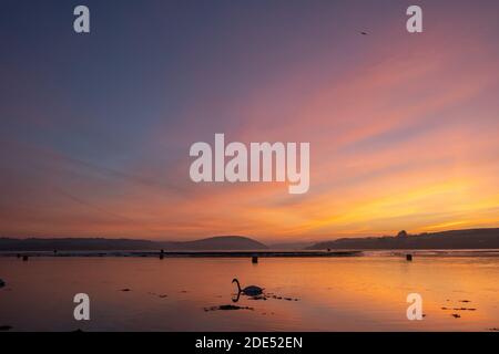 Padstow, Cornwall, Royaume-Uni. 29 novembre 2020. Météo Royaume-Uni. Un magnifique lever de soleil sur la rivière Camel à Padstow. Crédit Simon Maycock / Alamy Live News. Banque D'Images