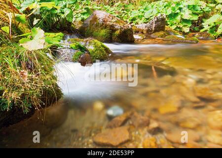 Détail du cours d'eau de montagne dans les montagnes Apuseni, Roumanie Banque D'Images