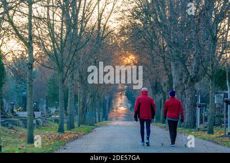 Wien, Vienne: walker à l'avenue de Zentralfriedhof (cimetière central), matin, lever du soleil en 11. Simmering, Vienne, Autriche Banque D'Images