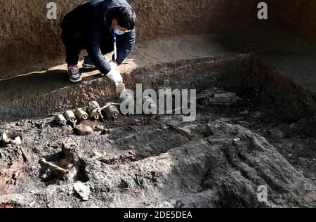 (201129) -- LUOYANG, le 29 novembre 2020 (Xinhua) -- UN membre du personnel nettoie les cloches de bronze découvertes sur une tombe du cimetière de Xuyang à Luoyang, dans la province de Henan, dans le centre de la Chine, le 27 novembre 2020. Les archéologues chinois ont découvert une ancienne tombe datant de la fin du printemps et de l'automne (770 av. J.-C.-C.) au cimetière de Xuyang à Luoyang. On pense qu'il s'agit du tombeau d'un noble ou royal du peuple Luhun Rong, un groupe ethnique qui a immigré du nord-ouest et habité la Chine centrale pendant la période. A VOIR: Tombe de la tribu noble ancienne découverte en Chine centrale (Xinhua/Li an Banque D'Images