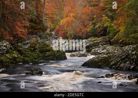 La rivière Findhorn, au-dessous de Randolph Leap, près de Logie, Moray, Écosse. En automne Banque D'Images