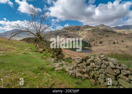 Une vue à travers un mur en pierre sèche cassé sur Blea Tarn de Lingmoor est tombé en regardant vers les montagnes accidentées de blake rigg et cheval cragg dans le Banque D'Images