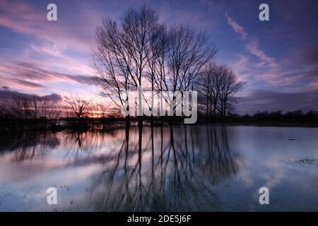 Prés d'eau de Lechlade, Gloucestershire, Angleterre, Royaume-Uni Banque D'Images