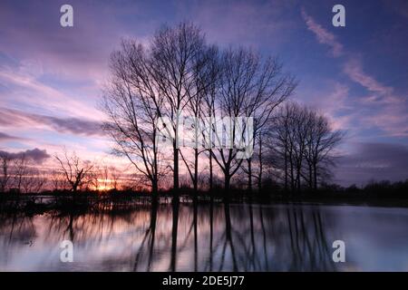 Prés d'eau de Lechlade, Gloucestershire, Angleterre, Royaume-Uni Banque D'Images