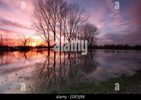 Prés d'eau de Lechlade, Gloucestershire, Angleterre, Royaume-Uni Banque D'Images