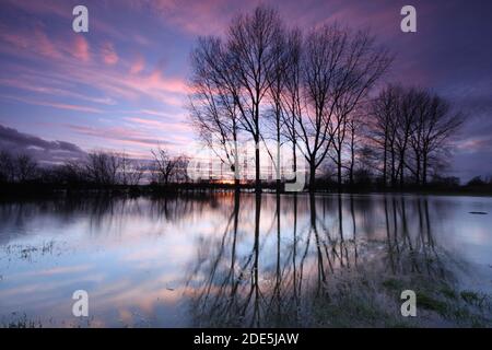 Prés d'eau de Lechlade, Gloucestershire, Angleterre, Royaume-Uni Banque D'Images