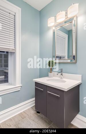 Salle de bains bleue avec meuble-lavabo gris, sol carrelé et petite plante sur un comptoir en marbre blanc. Banque D'Images