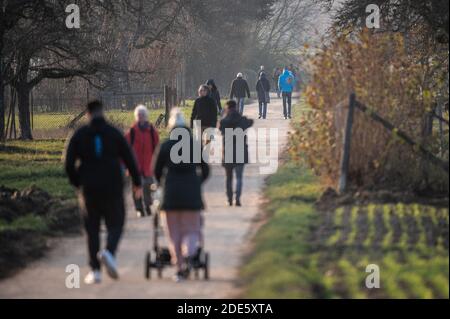 Stuttgart, Allemagne. 29 novembre 2020. Les gens marchent le long d'un chemin de champ. Credit: Sebastian Gollnow/dpa/Alay Live News Banque D'Images