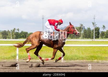 Courses hippiques à l'hippodrome Metroturf à Tanauan, Batangas, Philippines Banque D'Images