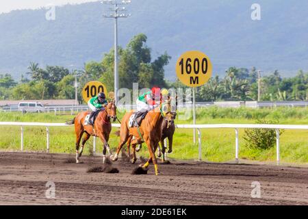 Courses hippiques à l'hippodrome Metroturf à Tanauan, Batangas, Philippines Banque D'Images