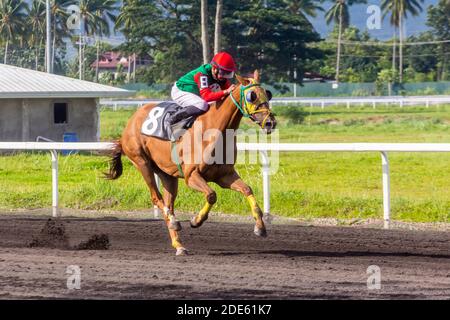 Courses hippiques à l'hippodrome Metroturf à Tanauan, Batangas, Philippines Banque D'Images