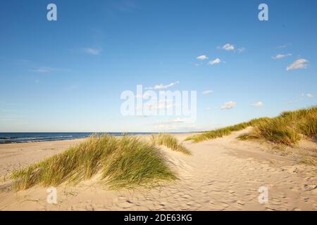 Parc national Slovinski, dune de sable de Leba sur la côte Baltique Banque D'Images