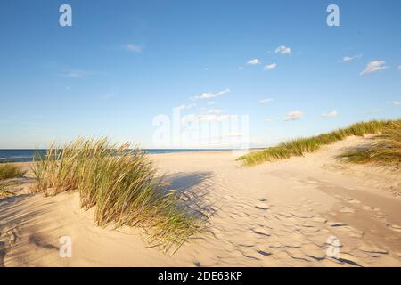 Parc national Slovinski, dune de sable de Leba sur la côte Baltique Banque D'Images