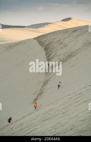 Tourisme sur la dune de Pilat, France, Europe. Banque D'Images