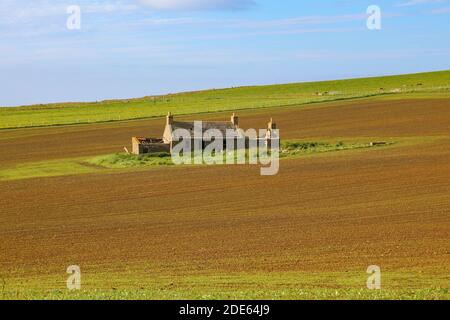 Un cottage abandonné au milieu d'un champ dans Orkney Banque D'Images