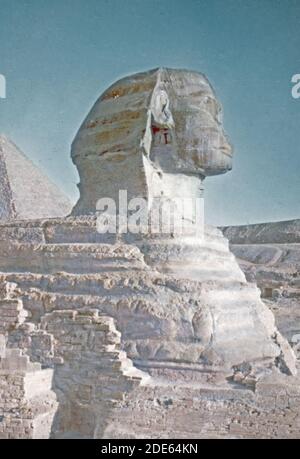 Légende originale: Egypte. Pyramides. Le profil Sphinx - lieu: Egypte--Jizah ca. 1950-1977 Banque D'Images