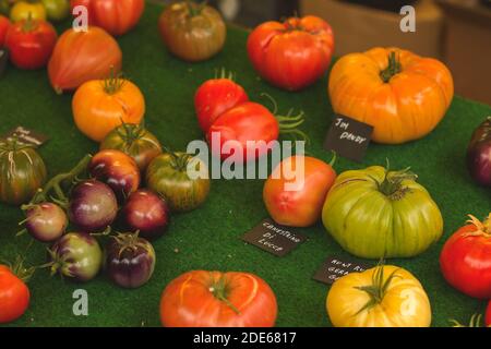 Différentes variétés de tomates écologiques Banque D'Images