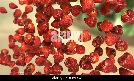 rendu 3d des fraises en chute Banque D'Images