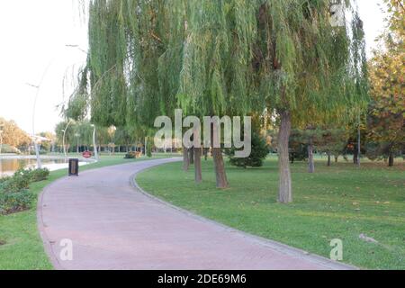 Chemin de marche au parc de la ville Banque D'Images