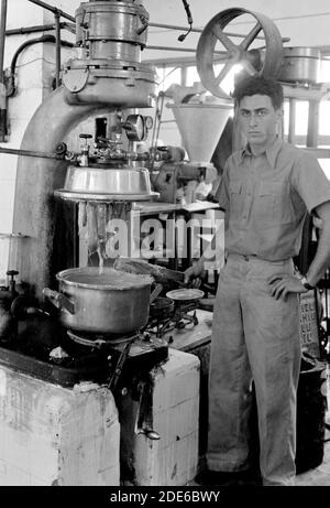 Légende originale : usines juives en Palestine sur la plaine de Sharon et le long de la côte jusqu'à Haïfa. Tel Aviv. Fromagerie. Int[érior]. Mélange de fromage soumis à haute température de vapeur (appareil ouvert) - lieu: Tel Aviv Israël ca. 1939 Banque D'Images