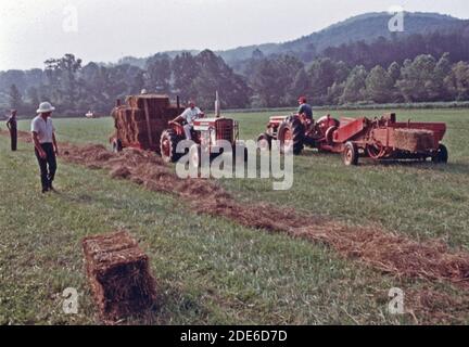 Récolte de foin et mise en balles sur la ferme de Joseph Kimsey vu au premier plan gauche avec un casque de pième blanc. Le terrain est situé à Robertstown, Géorgie, qui est à un mile au nord-est de Helen sur les autoroutes 17/75. Cette région de basse montagne, située à environ 90 kilomètres au nord-est d'Atlanta, attire les campeurs et les pêcheurs. Le quartier des affaires de Helen, qui a été rénové sur le thème des Alpes bavaroises, est également très intéressant. Le succès du projet a conduit à un nouveau développement touchant les deux villes. Banque D'Images