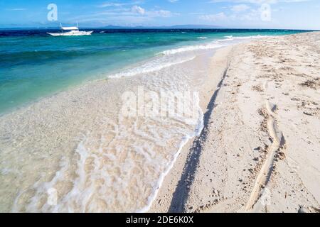 Plage de sable blanc à Bohol, Philippines Banque D'Images