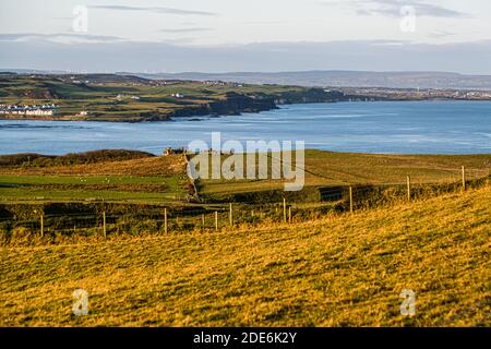 Chaussée de Giant à Bushmills, Irlande du Nord Banque D'Images