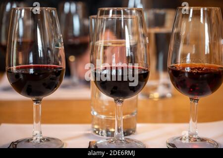 Dégustation professionnelle de différents desserts fortifiés rubis, vins de port tawny en verres dans les caves à vin de Porto, Portugal, gros plan Banque D'Images