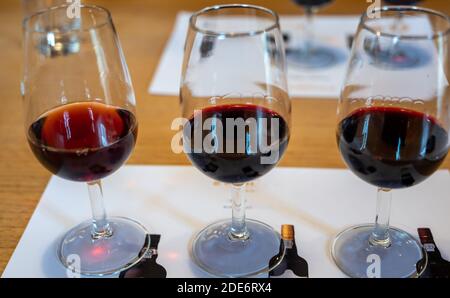 Dégustation professionnelle de différents desserts fortifiés rubis, vins de port tawny en verres dans les caves à vin de Porto, Portugal, gros plan Banque D'Images