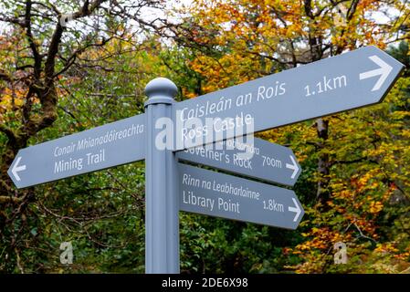 Marcher dans le panneau de direction de Killarney Fingerpost pour Ross Castle Library point et le sentier minier dans le parc national de Killarney, comté de Kerry, Irlande Banque D'Images