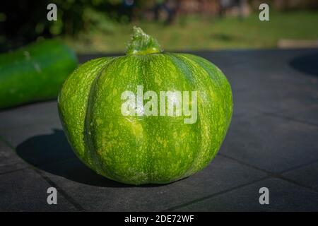 Goxwiller, France - 09 08 2020: Courgettes vertes, légumes Banque D'Images