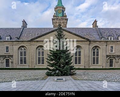 L'arbre de Noël dans le domaine du Musée irlandais d'Art moderne (IMMA) à Kilmainham à Dublin, en Irlande. Banque D'Images