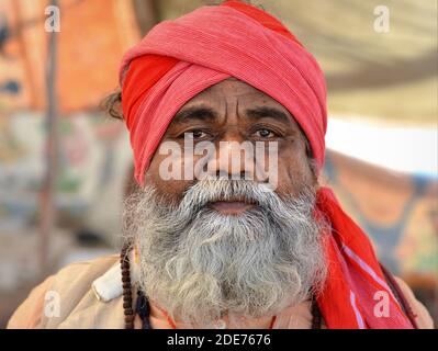 Ancien Saint-homme indien digne (sadhu, baba, guru) avec le turban rouge et la barbe complète blanche pose pour appareil photo pendant le festival religieux Shivratri Mela. Banque D'Images