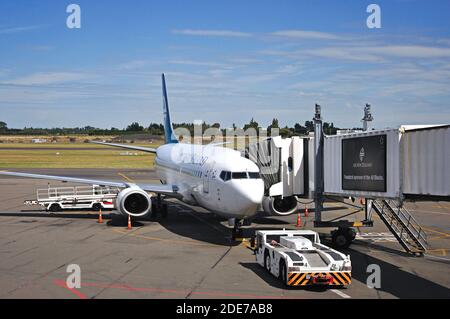 Air NZ Boeing 737 sur tarmac, terminal domestique, aéroport de Christchurch, Christchurch, région de Canterbury, South Island, Nouvelle-Zélande Banque D'Images