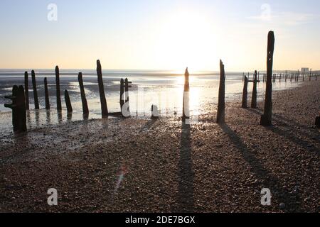 Pett Level Beach au coucher du soleil. Avec piscine d'eau de mer et rochers en premier plan. Winchelsea Beach rencontre les falaises une forêt pétrifiée visible à basse altitude Banque D'Images