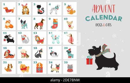 Calendrier de l'Avent de Noël avec chiens. Affiche de Noël amusante avec chiots, chiens portant des vêtements d'hiver, accessoires de Noël Illustration de Vecteur