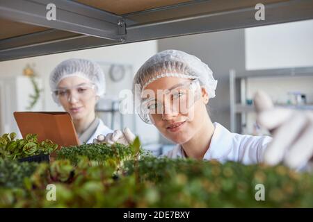 Portrait de deux femmes scientifiques souriantes examinant des échantillons de plantes tout en travaillant dans un laboratoire de biotechnologie, espace de copie Banque D'Images