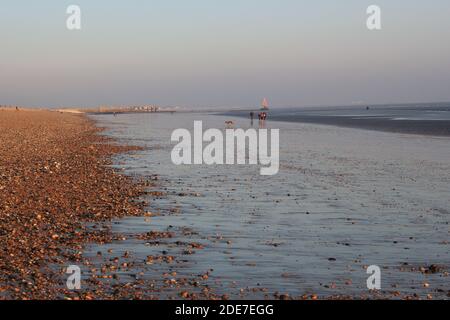 Pett Level Beach au coucher du soleil. Avec piscine d'eau de mer et rochers en premier plan. Winchelsea Beach rencontre les falaises une forêt pétrifiée visible à basse altitude Banque D'Images