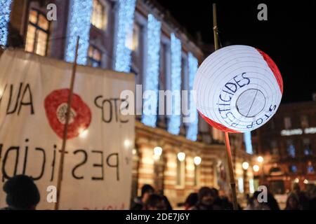 Comme tous les premiers vendredis du mois, depuis septembre, le rassemblement 'nous voulons des coquelicots' (nous voulons des coquelicots) a eu lieu sur la place du Capitole, à Toulouse, comme en France, en même temps que dans de nombreuses villes françaises. À l'initiative du journaliste Fabrice Nicolino (Charlie Hebdo) et de François Veillerette (ancien président de Greenpeace), le mouvement a recueilli plus de 420000 signatures pour leur pétition en ligne. Photo de Patrick Batard / ABACAPRESS.COM Banque D'Images