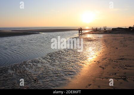 Pett Level Beach au coucher du soleil. Avec piscine d'eau de mer et rochers en premier plan. Winchelsea Beach rencontre les falaises une forêt pétrifiée visible à basse altitude Banque D'Images