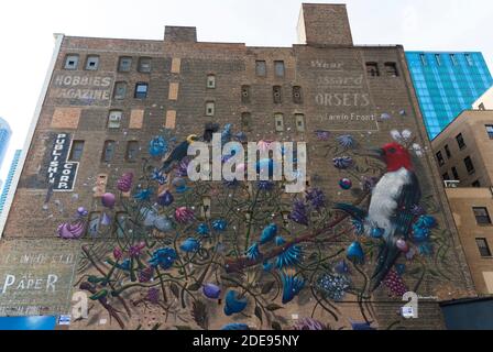 Fresque d'oiseau et de fleur à Chicago réalisée par Collin van Der Sluijs Banque D'Images