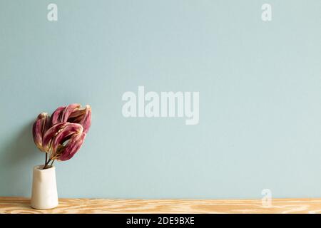Vase de fleurs de tulipe pourpres sèches sur table en bois. Fond bleu ciel Banque D'Images