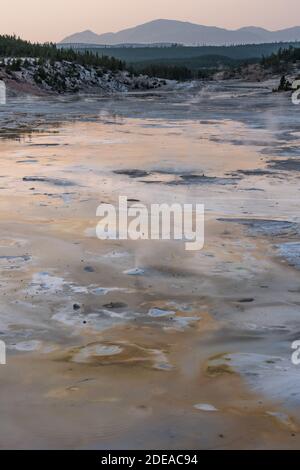 De petits geysers éclatent dans le bassin de la porcelaine, dans le bassin de Norris Geyser, dans le parc national de Yellowstone, Wyoming, États-Unis. Banque D'Images