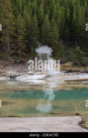 La source de crépitement est une source chaude sur le bord du lac de crépitement dans le bassin de porcelaine dans le bassin de Norris Geyser dans le parc national de Yellowstone, Wyoming Banque D'Images