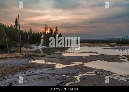 La source de crépitement est une source chaude sur le bord du lac de crépitement dans le bassin de porcelaine dans le bassin de Norris Geyser dans le parc national de Yellowstone, Wyoming Banque D'Images