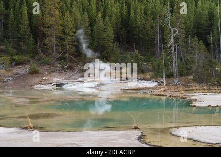 La source de crépitement est une source chaude sur le bord du lac de crépitement dans le bassin de porcelaine dans le bassin de Norris Geyser dans le parc national de Yellowstone, Wyoming Banque D'Images