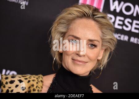 Sharon Stone participe au gala de remise des prestations du Women's cancer Research Fund, une soirée inoubliable, à l'hôtel Beverly Wilshire four Seasons, le 28 février 2019 à Beverly Hills, Californie, États-Unis. Photo de Lionel Hahn/ABACAPRESS.COM Banque D'Images