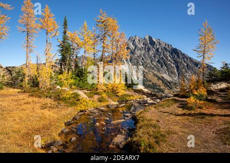 WA18602-00...WASHINGTON - UNE petite crique franchie sur le sentier Ingalls Way Trail dans la région sauvage des lacs alpins, dans la forêt nationale de Wenatchee. Banque D'Images