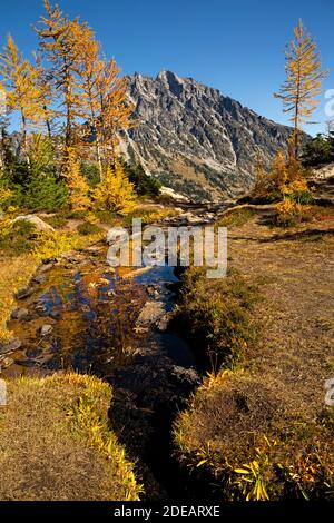 WA18603-00...WASHINGTON - UNE petite crique franchie sur le sentier Ingalls Way Trail, dans la région sauvage des lacs alpins, dans la forêt nationale de Wenatchee. Banque D'Images