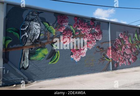 Murale avec une myrte de crape et un oiseau gris sur une branche peinte par Calina Mishay sur un mur de briques extérieur à Waxahachie, Texas. Banque D'Images